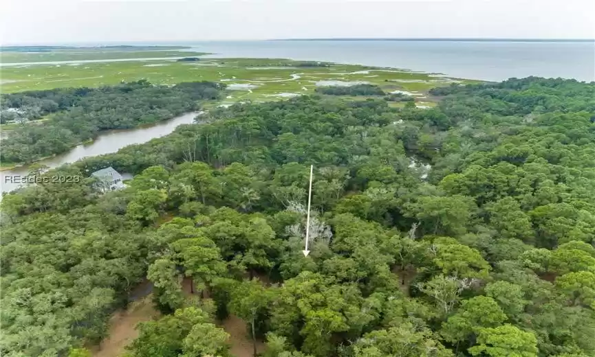 Saint Helena Island, South Carolina 29920, ,Land,For Sale,438335