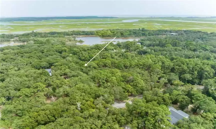 Saint Helena Island, South Carolina 29920, ,Land,For Sale,438333