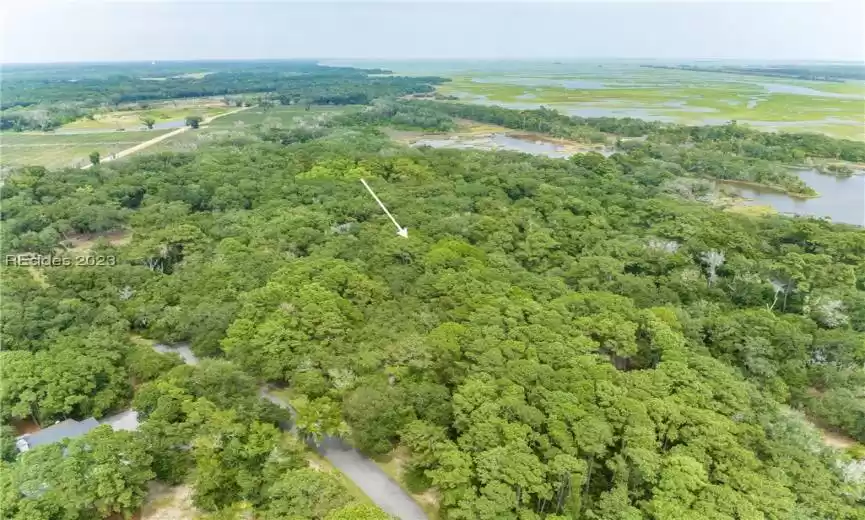 Saint Helena Island, South Carolina 29920, ,Land,For Sale,438333