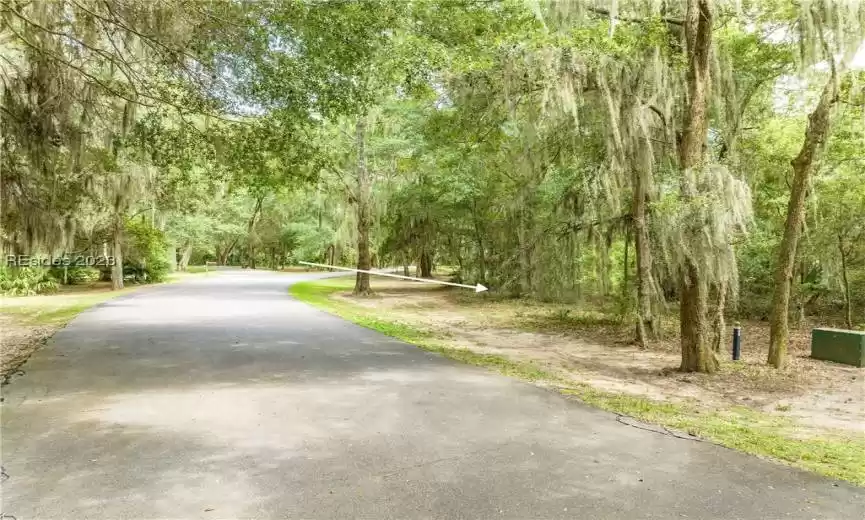 Saint Helena Island, South Carolina 29920, ,Land,For Sale,438333