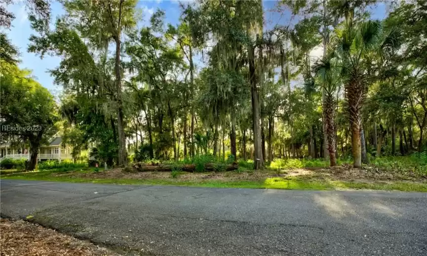 Daufuskie Island, South Carolina 29915, ,Land,For Sale,438371