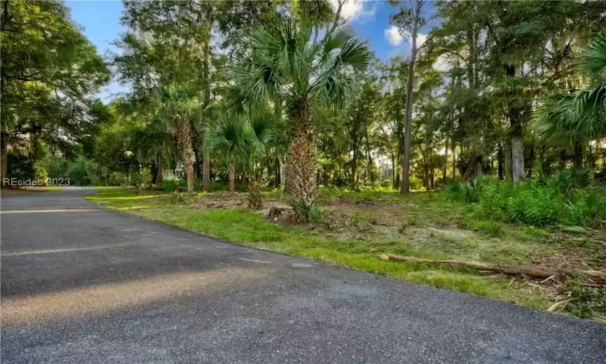 Daufuskie Island, South Carolina 29915, ,Land,For Sale,438371