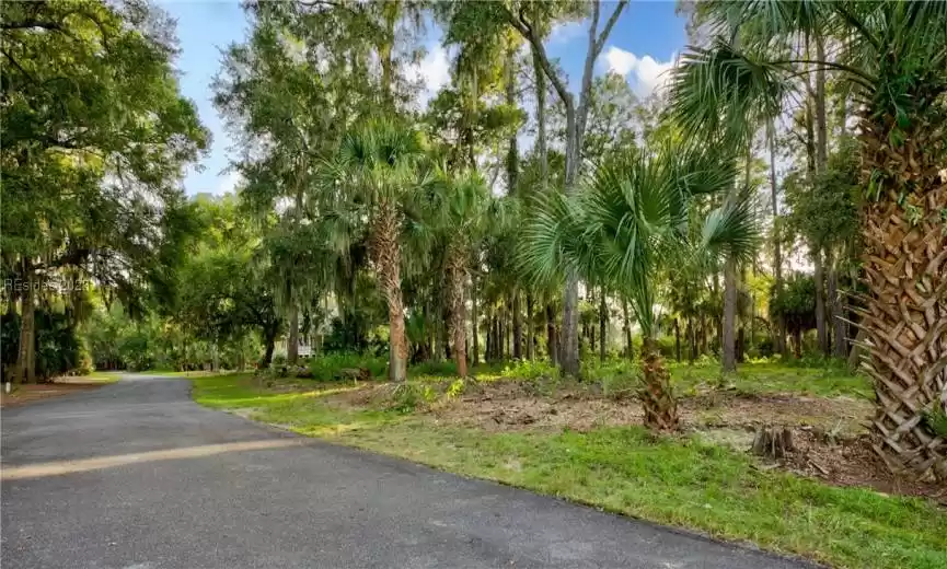 Daufuskie Island, South Carolina 29915, ,Land,For Sale,438371