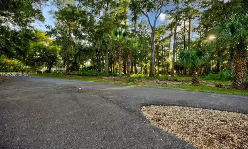 Daufuskie Island, South Carolina 29915, ,Land,For Sale,438371