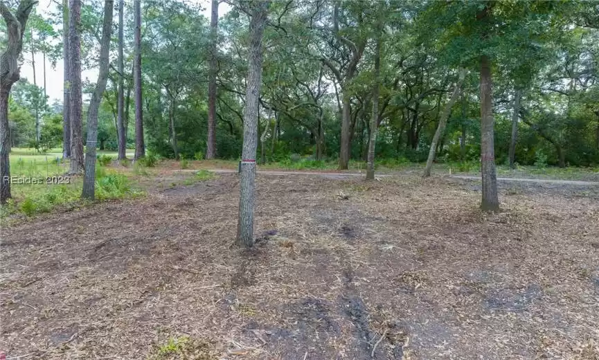 Bluffton, South Carolina 29910, ,Land,For Sale,437873