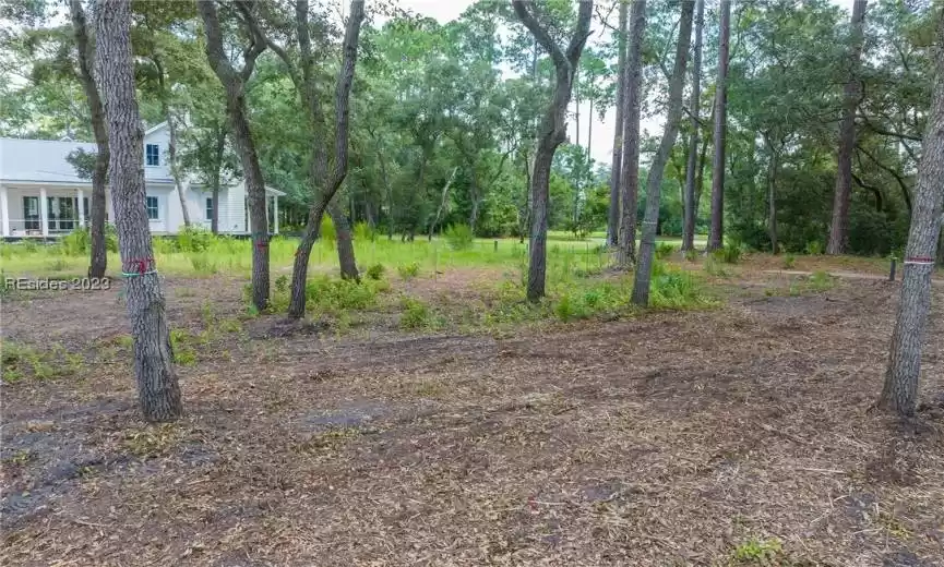 Bluffton, South Carolina 29910, ,Land,For Sale,437873