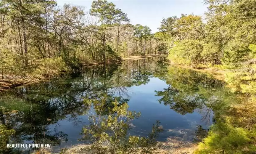 Seabrook, South Carolina 29940, ,Land,For Sale,438540