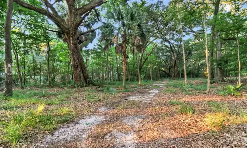 ONE OF MANY BEAUTIFUL TRAILS, CANOPIED BY CENTURIES OLD LIVE OAKS. THIS ROAD IS THE SECOND ENTRANCE TO THE PROPERTY FROM KNOWLES IS. ROAD.