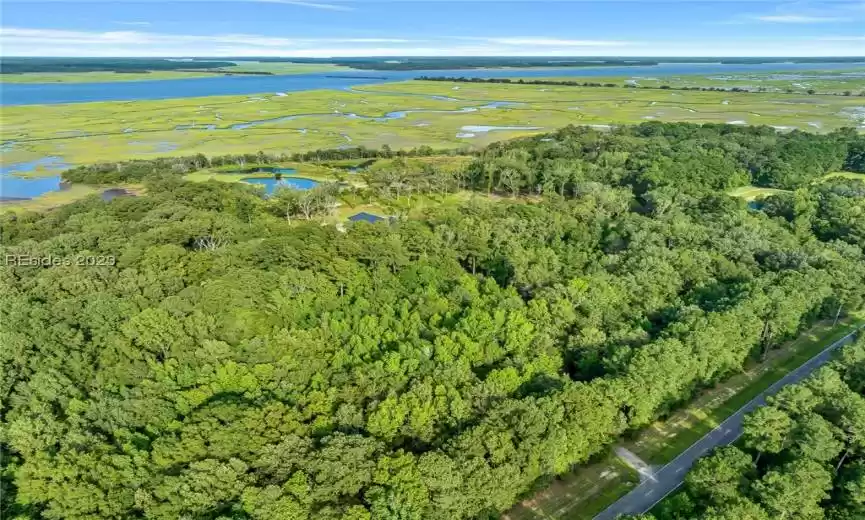 10 ACRES OF UNTOUCHED HARDWOOD, SPECIMEN TREES AND TIMBERLAND.