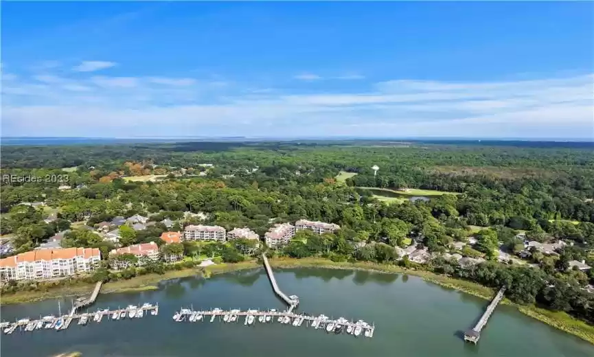 Hilton Head Island, South Carolina 29926, 2 Bedrooms Bedrooms, ,2 BathroomsBathrooms,Residential,For Sale,438893