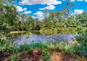 Seabrook, South Carolina 29940, ,Land,For Sale,438952