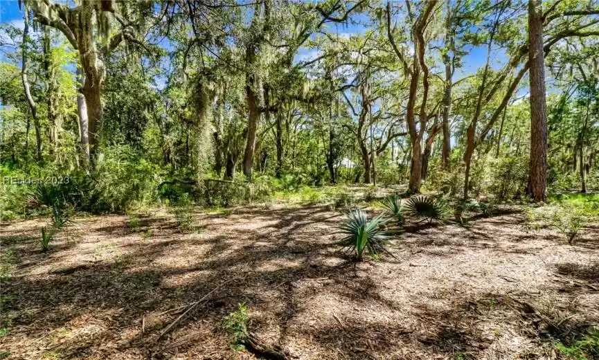 Interior Lot View