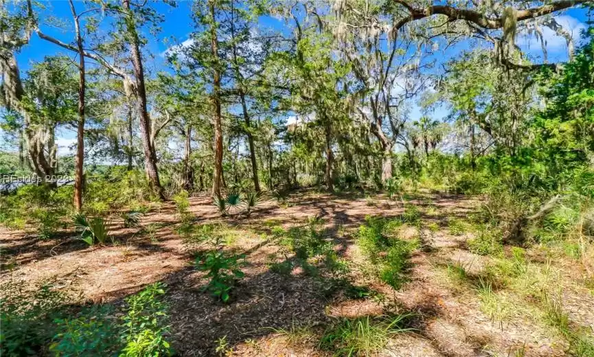 Interior Lot View