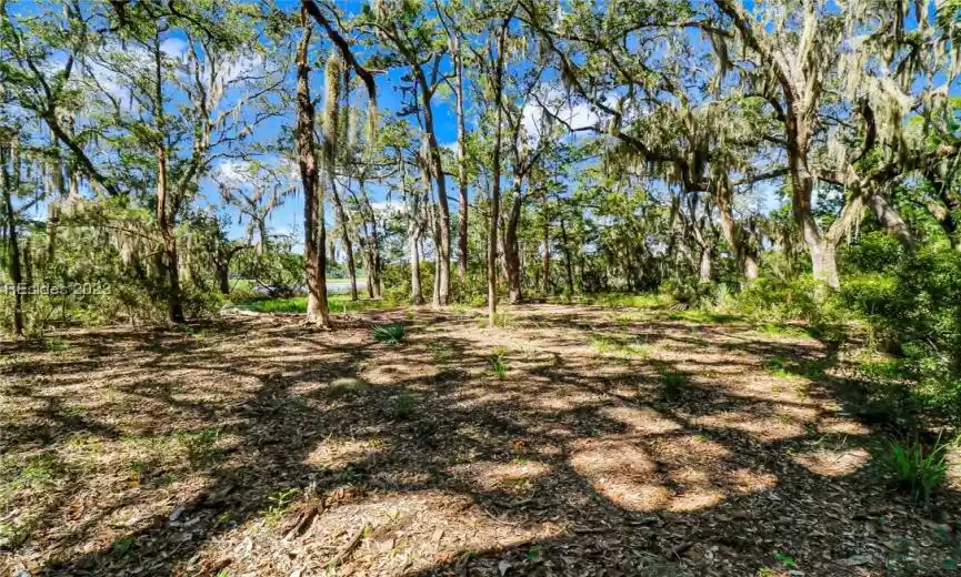 Interior Lot View