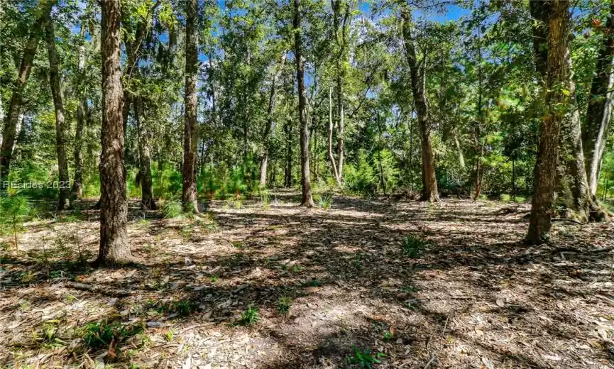 Interior Lot View