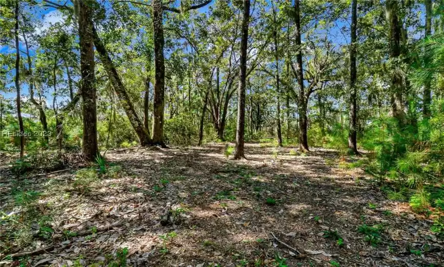 Interior Lot View