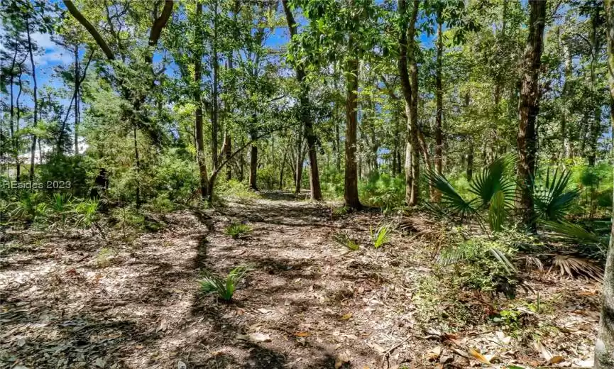 Interior Lot View