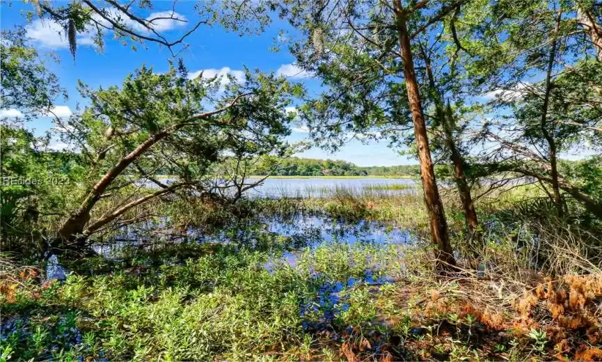 Interior River View