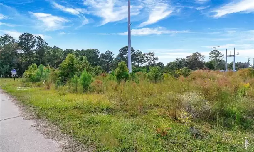 Bluffton, South Carolina 29910, ,Land,For Sale,436201