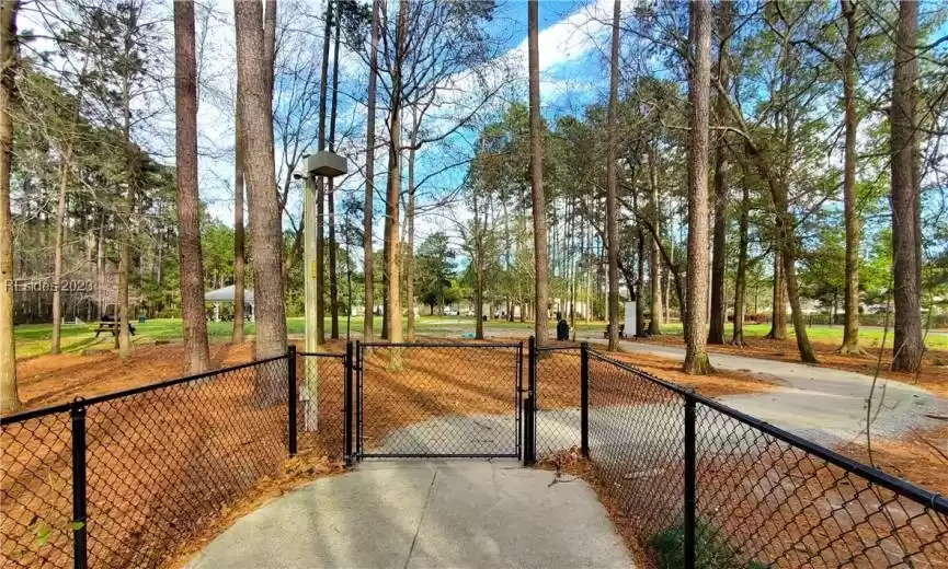 Take your fur baby for a fun trip to the Dog Park!
