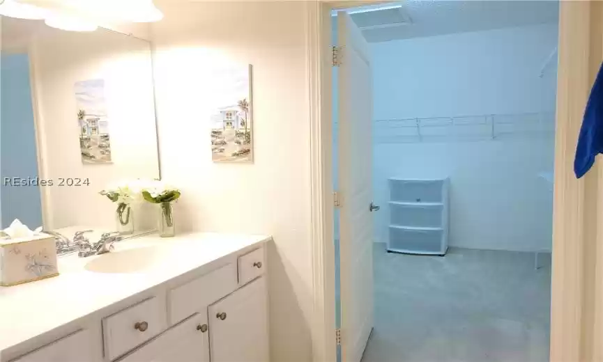 Master suite bath has large walk-in closet and double vanity