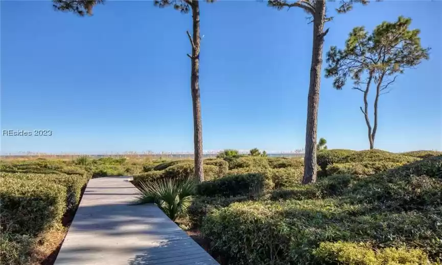 Hilton Head Island, South Carolina 29928, 5 Bedrooms Bedrooms, ,5 BathroomsBathrooms,Residential,For Sale,439374