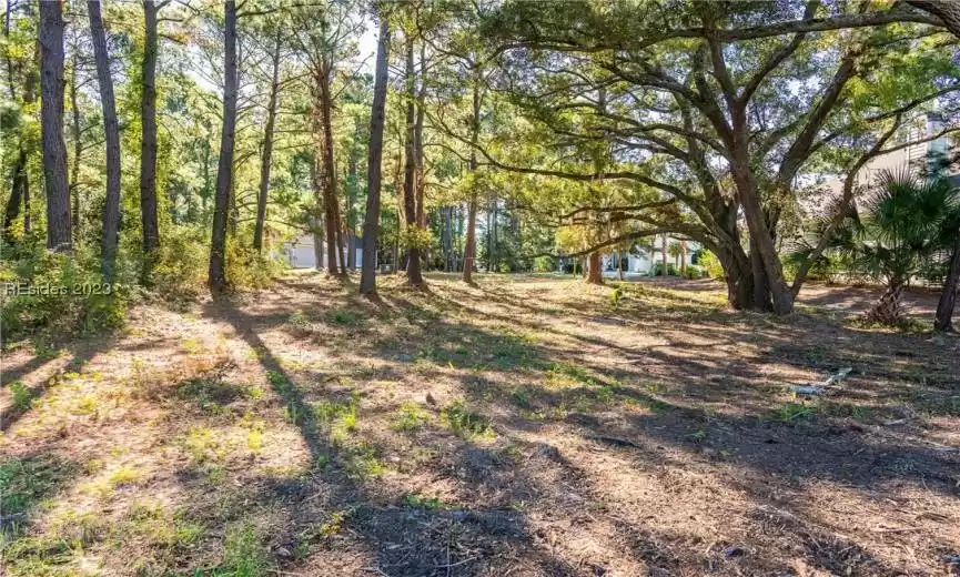 Saint Helena Island, South Carolina 29920, ,Land,For Sale,430354