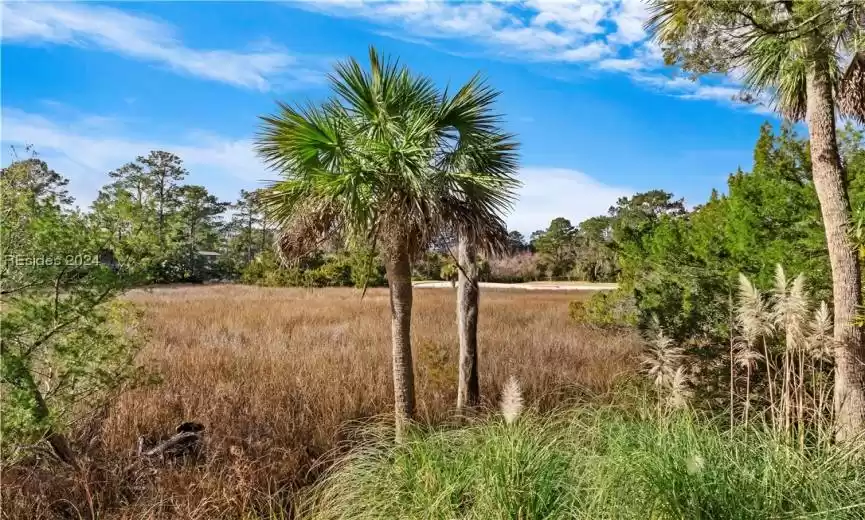 Hilton Head Island, South Carolina 29926, 2 Bedrooms Bedrooms, ,2 BathroomsBathrooms,Residential,For Sale,440264
