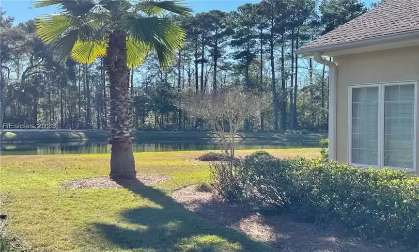 Back yard view!  Priceless!