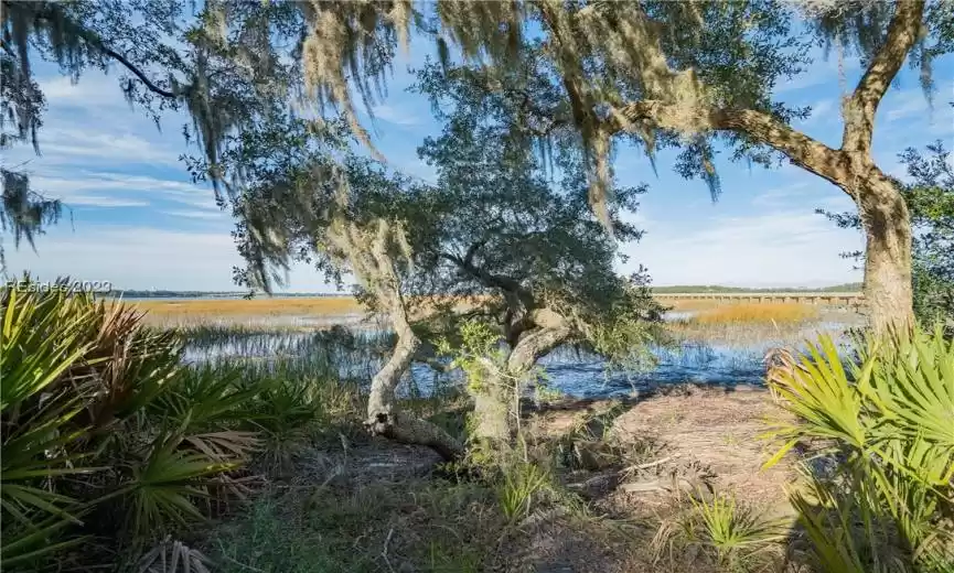 Beaufort, South Carolina 29907, ,Land,For Sale,440587