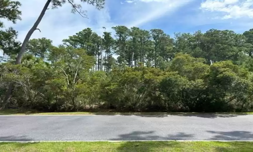 Hilton Head Island, South Carolina 29926, ,Land,For Sale,438721