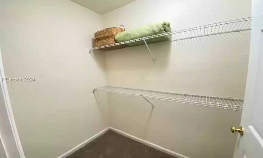 Walk in closet with carpet