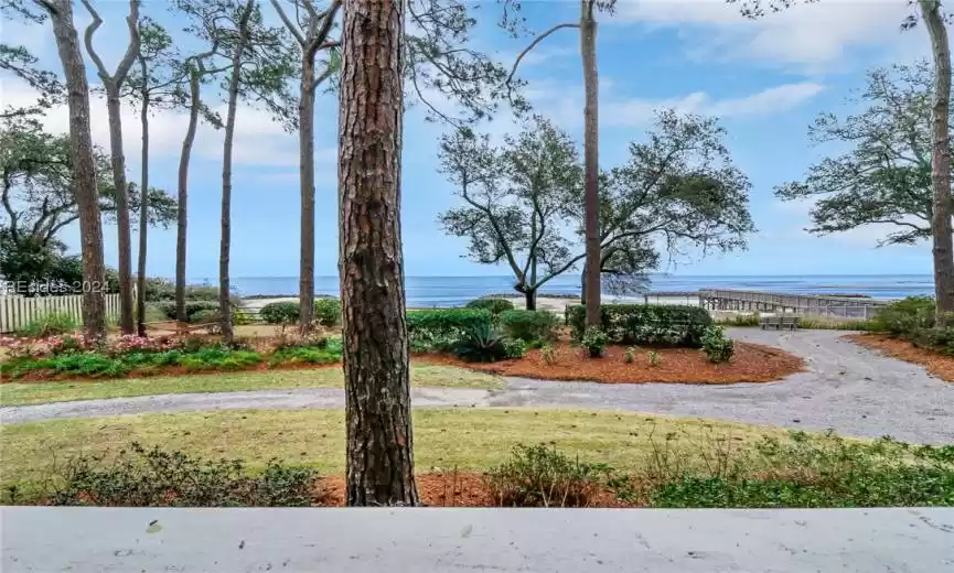 Hilton Head Island, South Carolina 29926, 1 Bedroom Bedrooms, ,1 BathroomBathrooms,Residential,For Sale,440023