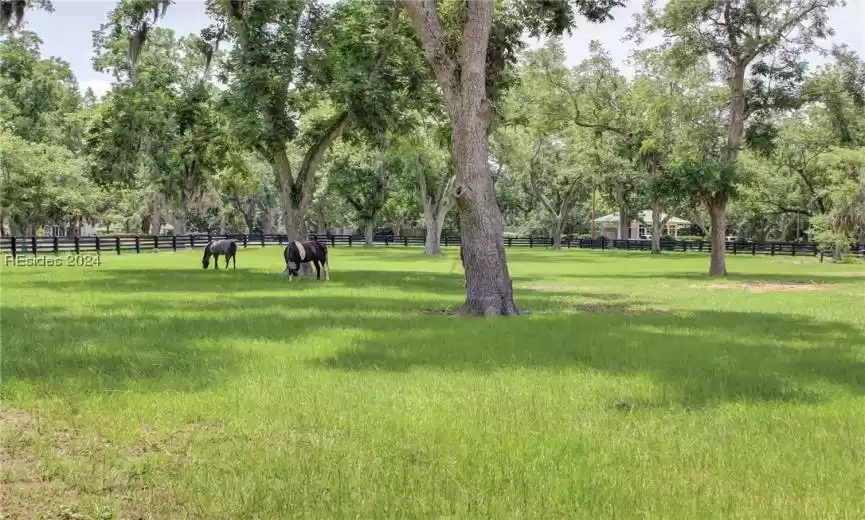 View of home's community featuring a lawn
