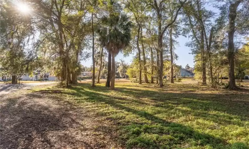 Beaufort, South Carolina 29902, ,Land,For Sale,441687