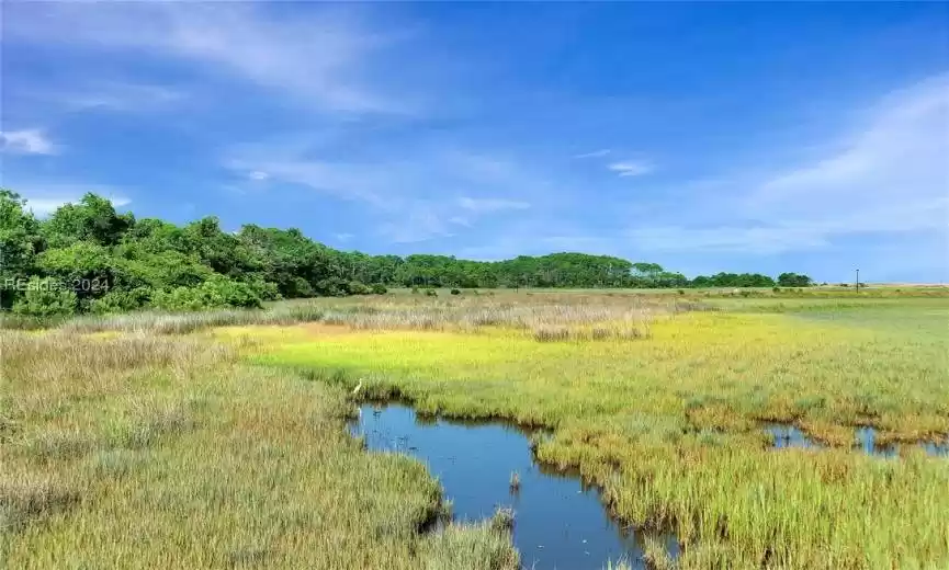 Hilton Head Island, South Carolina 29928, 2 Bedrooms Bedrooms, ,2 BathroomsBathrooms,Residential,For Sale,441719