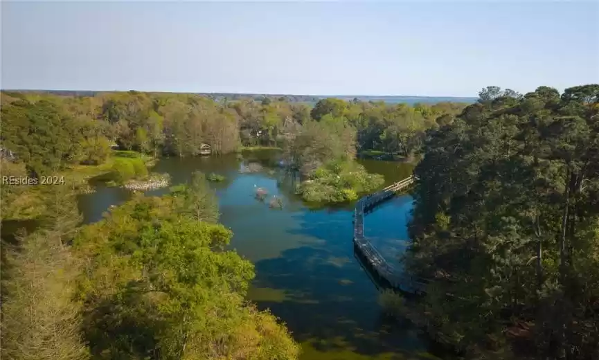 Nature lovers:  Habitat for Herons, Ibis, Turtles and gators!