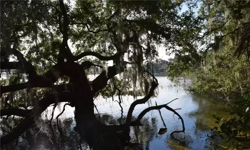 Saint Helena Island, South Carolina 29920, ,Land,For Sale,441793