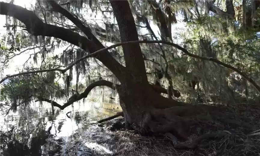 Saint Helena Island, South Carolina 29920, ,Land,For Sale,441793