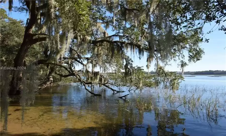 Saint Helena Island, South Carolina 29920, ,Land,For Sale,441793