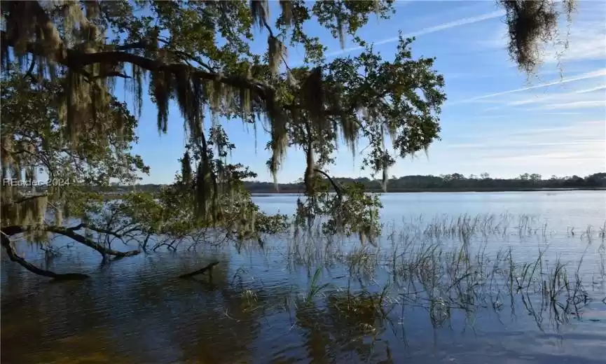 Saint Helena Island, South Carolina 29920, ,Land,For Sale,441793