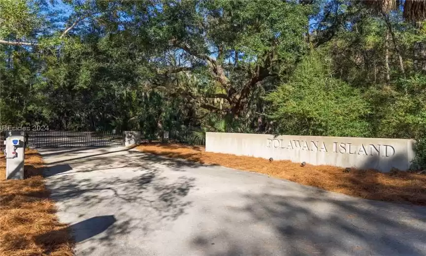 Saint Helena Island, South Carolina 29920, ,Land,For Sale,441793