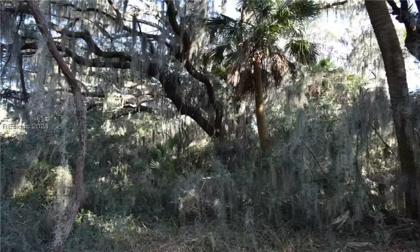 Saint Helena Island, South Carolina 29920, ,Land,For Sale,441793