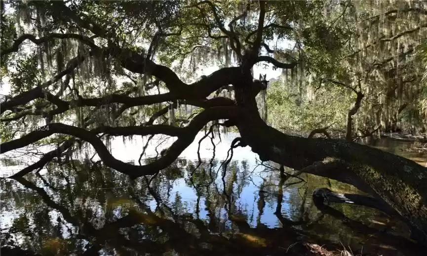 Saint Helena Island, South Carolina 29920, ,Land,For Sale,441793