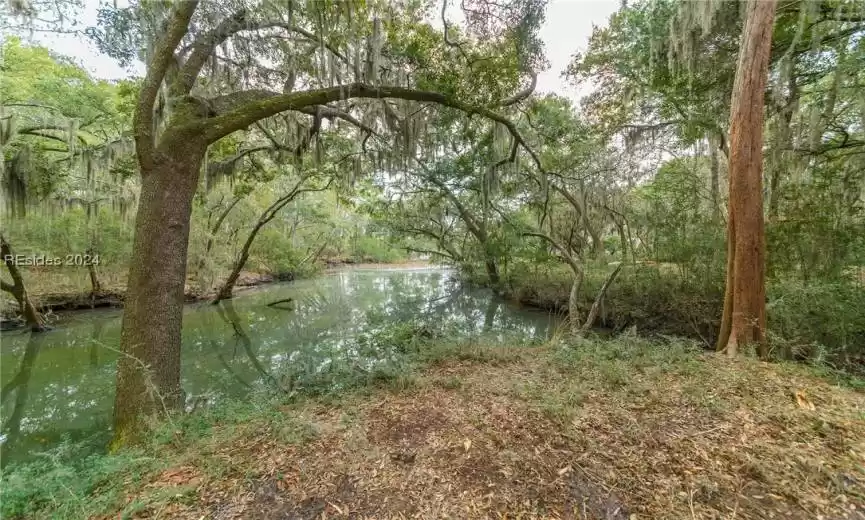 Beaufort, South Carolina 29902, ,Land,For Sale,441750