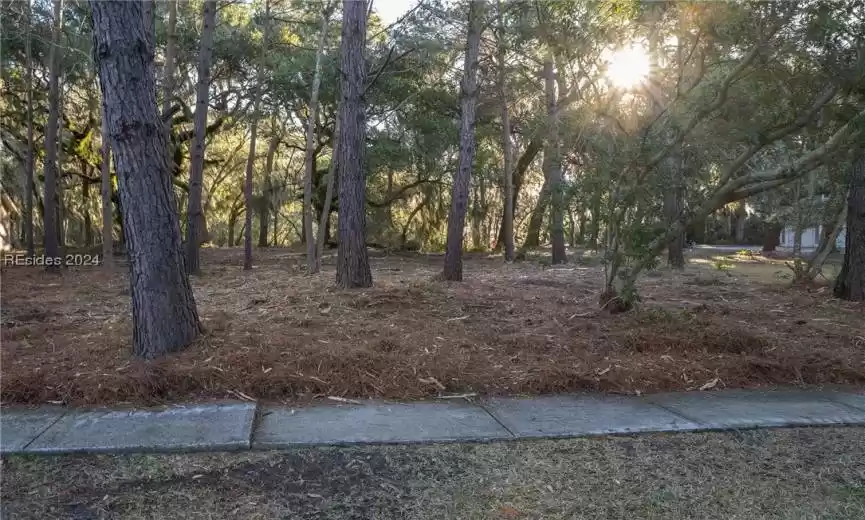 Ready to build your ideal home around gorgeous Live Oaks?  Look no further!