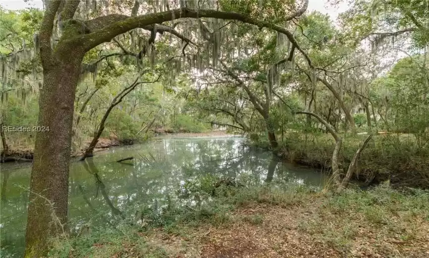 Beaufort, South Carolina 29902, ,Land,For Sale,441750
