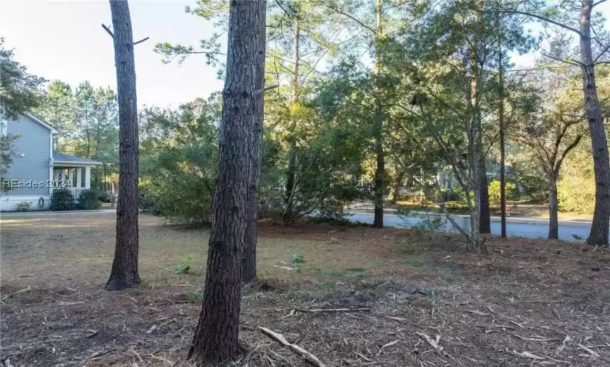 Mid-lot to left