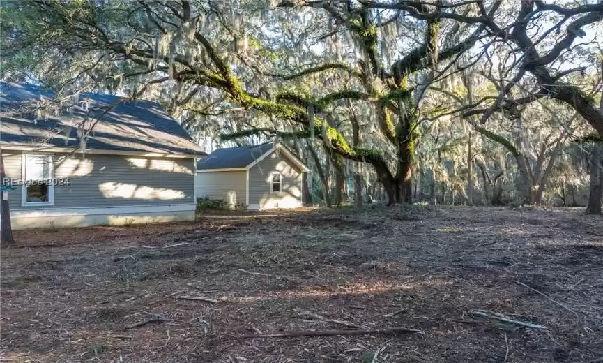 Make the beautiful Live Oaks the focal point when building.