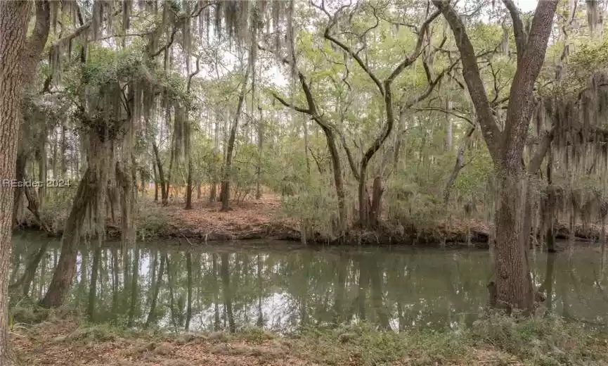 Beaufort, South Carolina 29902, ,Land,For Sale,441750